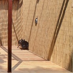 Rieten wandbekleding