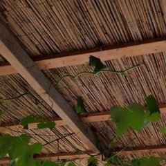 Rieten plafondbekleding