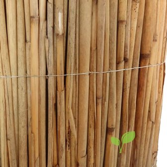Dichte rietmat 180 x 600