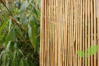 De natuurlijke tuin is een blijvende trend De natuurlijke tuin is een blijvende trend