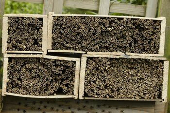 Bijenhotel maken met rietmat