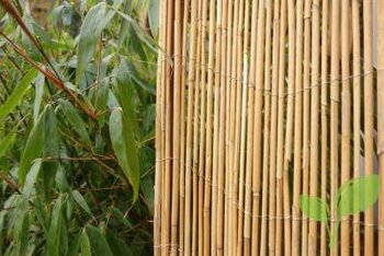 De natuurlijke tuin is een blijvende trend